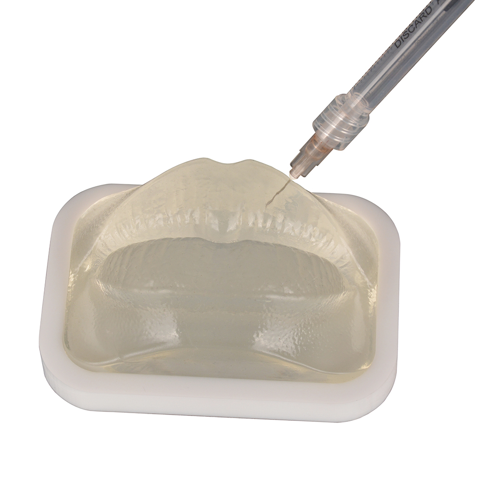 Transparent Injection Training Lip Model