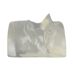 Transparent Injection Training Eye Model