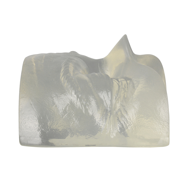 Transparent Injection Training Eye Model