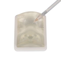 Transparent Injection Training Nose Model