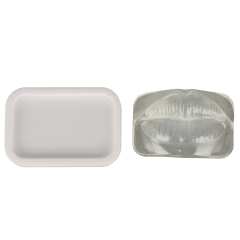 Transparent Injection Training Lip Model