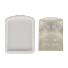 Transparent Injection Training Nose Model