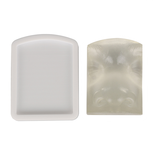 Transparent Injection Training Nose Model