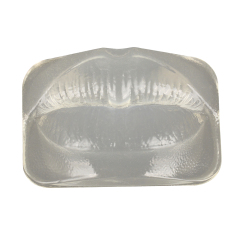 Transparent Injection Training Lip Model