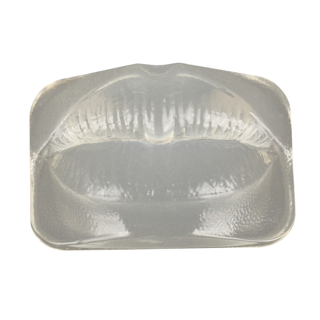 Transparent Injection Training Lip Model