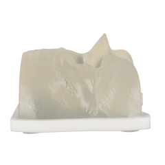 Transparent Injection Training Eye Model