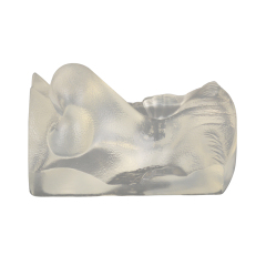 Transparent Injection Training Nose Model