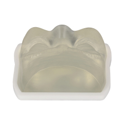 Transparent Injection Training Eye Model