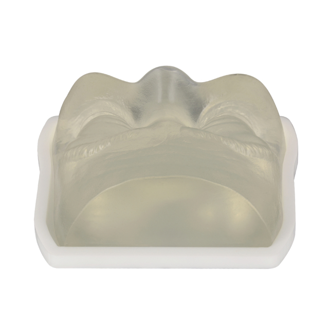 Transparent Injection Training Eye Model