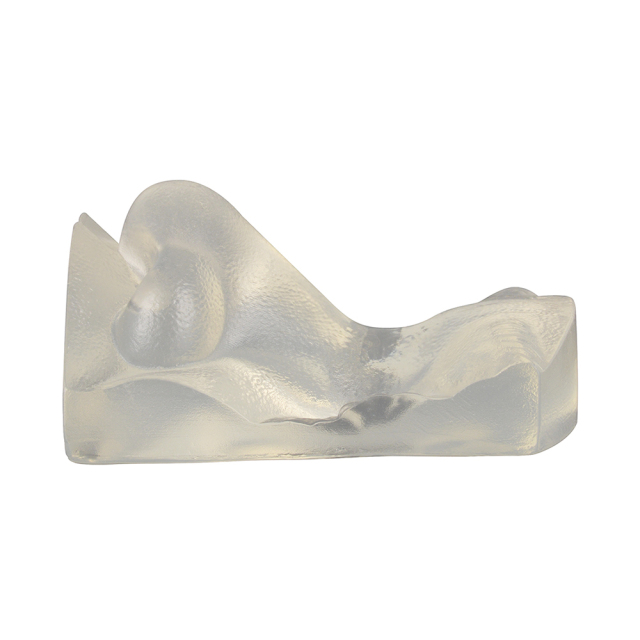 Transparent Injection Training Nose Model