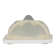 Transparent Injection Training Eye Model