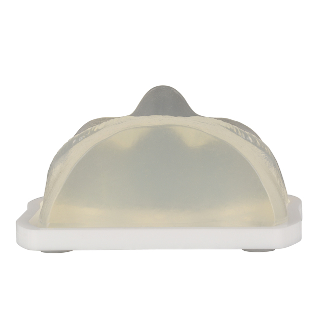 Transparent Injection Training Eye Model