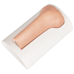 Adult Tibial IO Injection Training Module