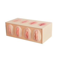 Vaginal Tightness Comparison Model for Pelvic Floor & Gynecological Training