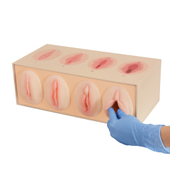 Vaginal Tightness Comparison Model for Pelvic Floor & Gynecological Training