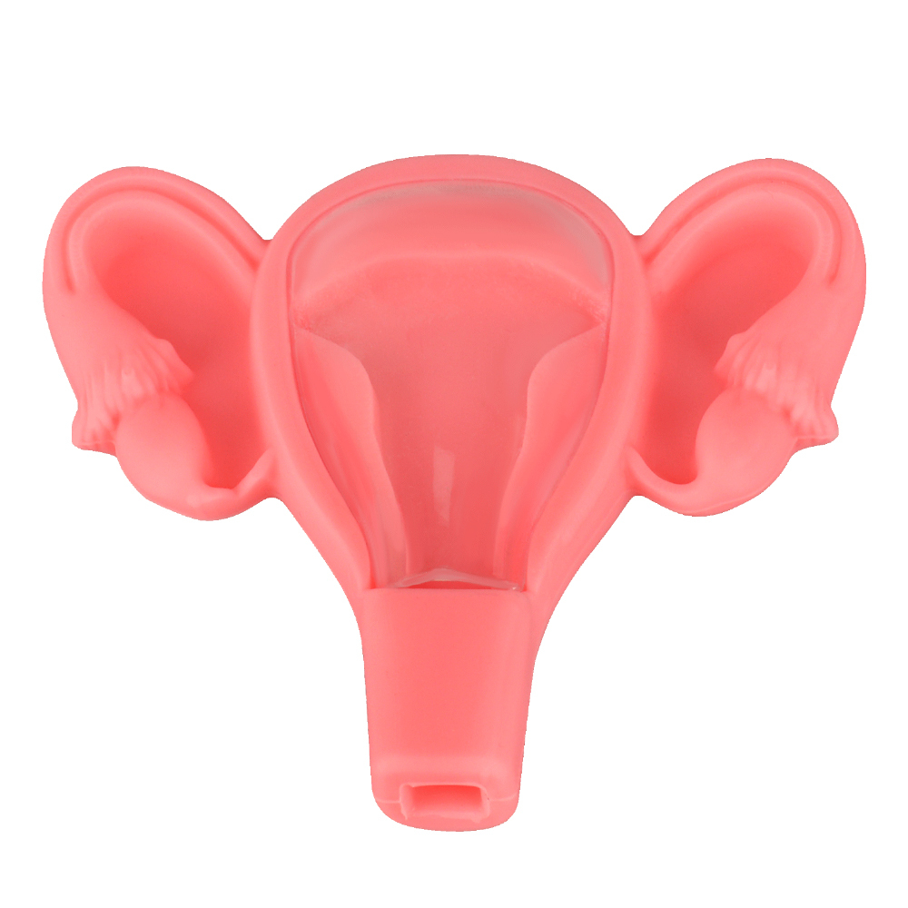 Uterus-shaped 3D IUD Training Model for OB/GYN Education