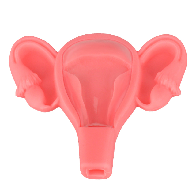 Uterus-shaped 3D IUD Training Model for OB/GYN Education