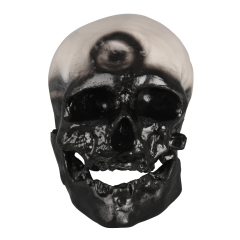 PVC Cromian Black Human Skull Model for Medical Usage in Schools and Hospitals
