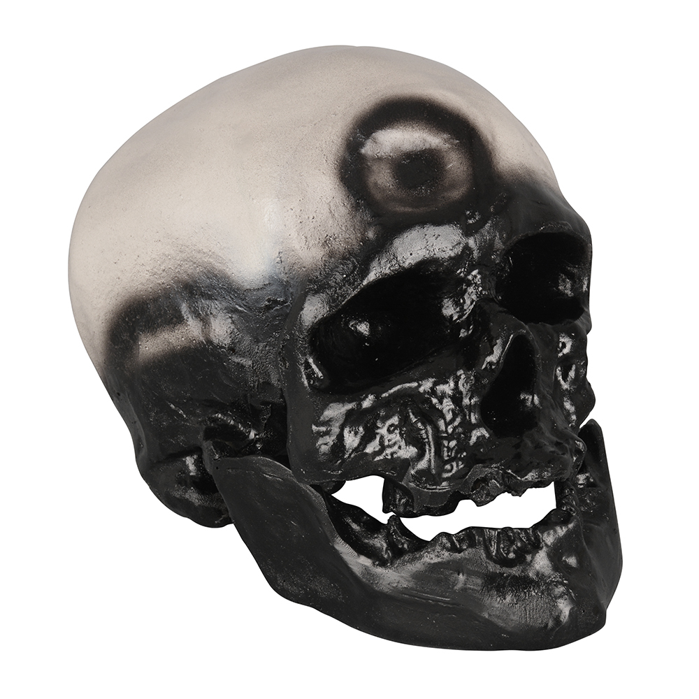 PVC Cromian Black Human Skull Model for Medical Usage in Schools and Hospitals