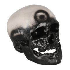 PVC Cromian Black Human Skull Model for Medical Usage in Schools and Hospitals