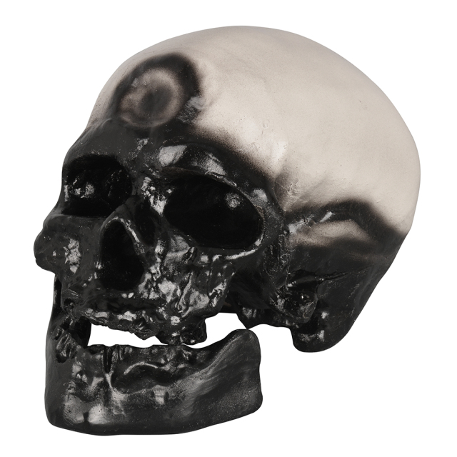 PVC Cromian Black Human Skull Model for Medical Usage in Schools and Hospitals