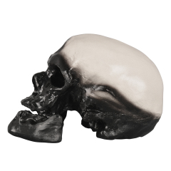 PVC Cromian Black Human Skull Model for Medical Usage in Schools and Hospitals