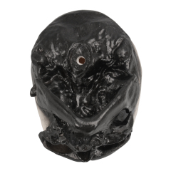 PVC Cromian Black Human Skull Model for Medical Usage in Schools and Hospitals