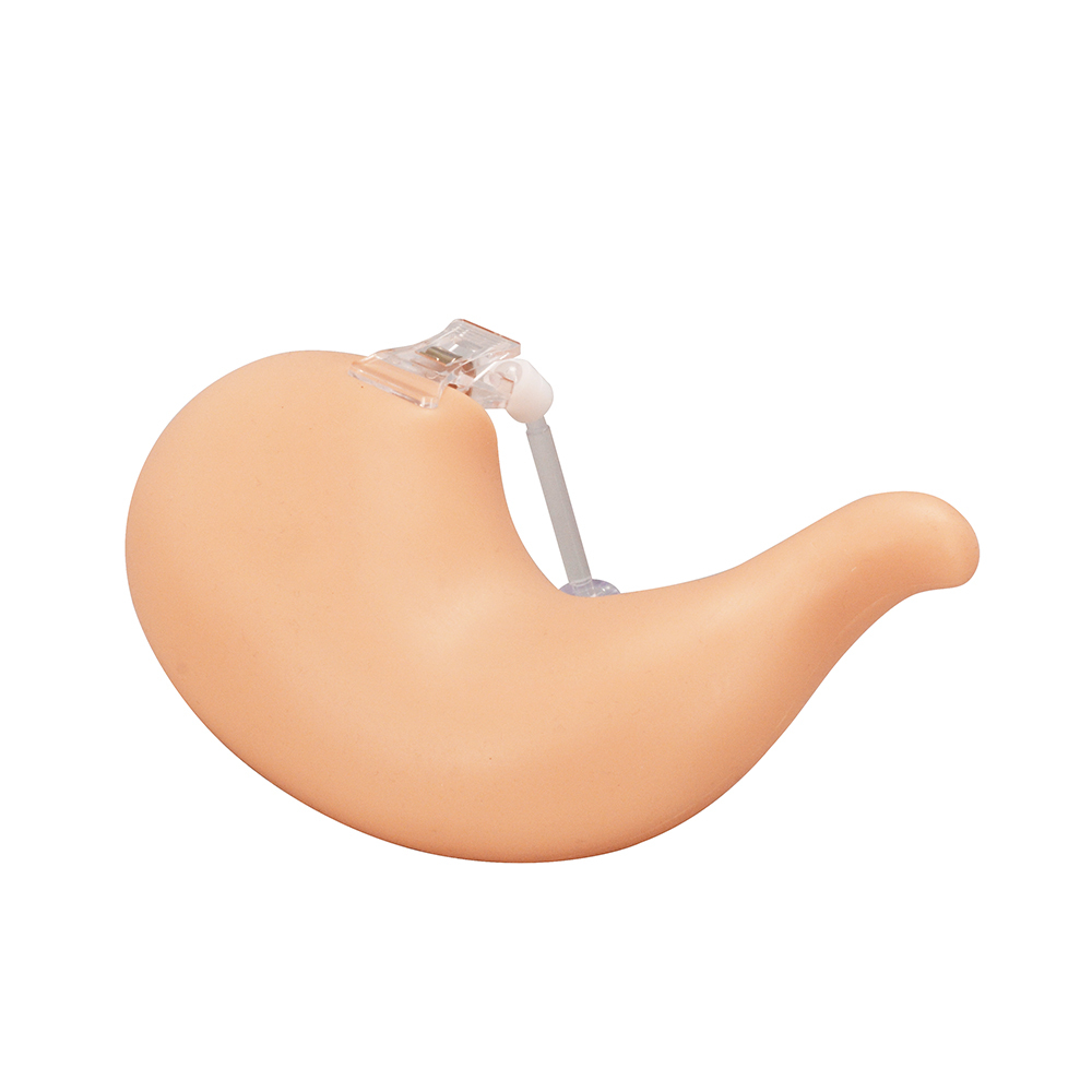 Hollow Stomach Suturing Model