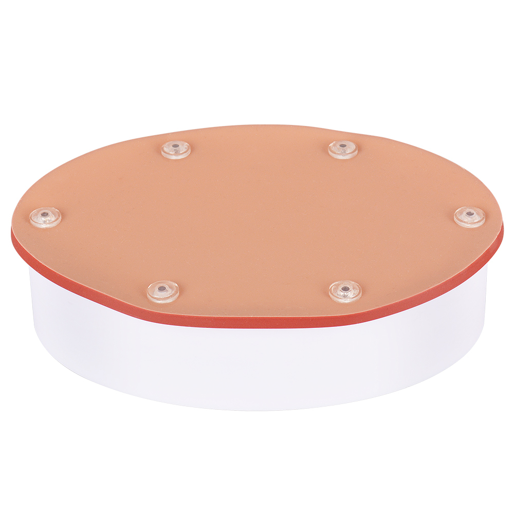 Hollow Organ Suturing Model