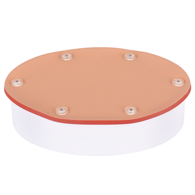 Hollow Organ Suturing Model