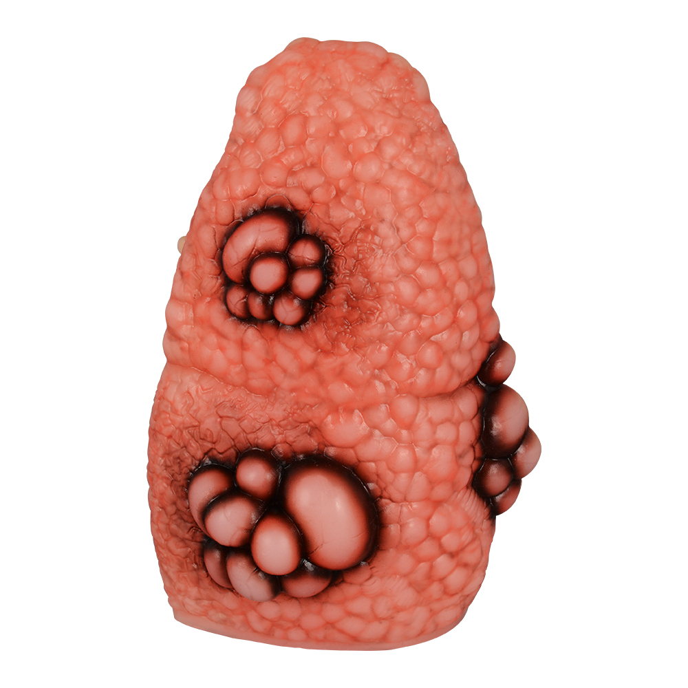 Cough Up Lung Model