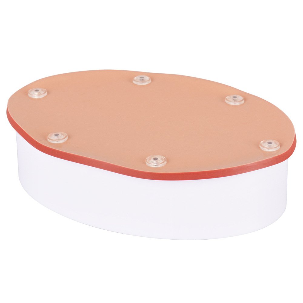 Hollow Organ Suturing Model