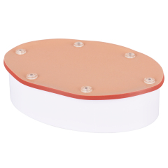 Hollow Organ Suturing Model