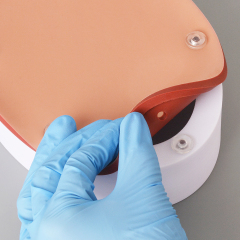 Hollow Organ Suturing Model
