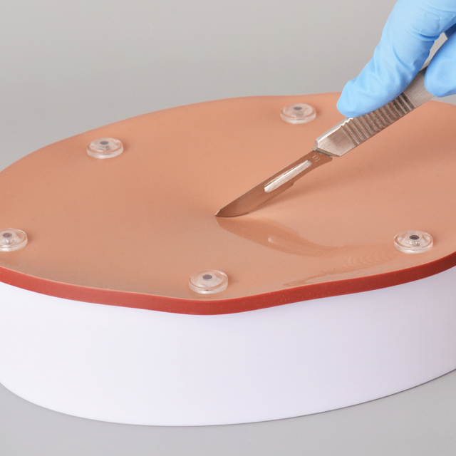 Hollow Organ Suturing Model