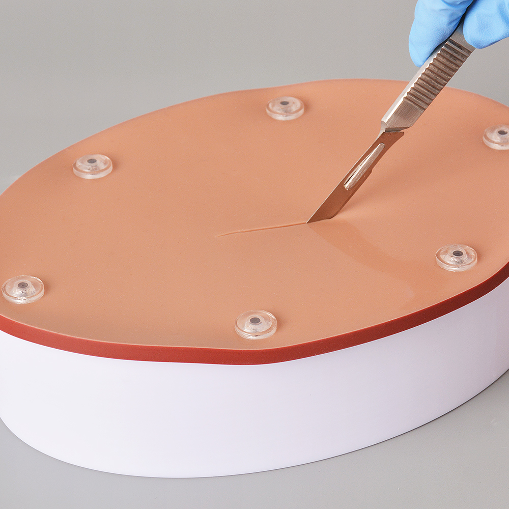 Hollow Organ Suturing Model