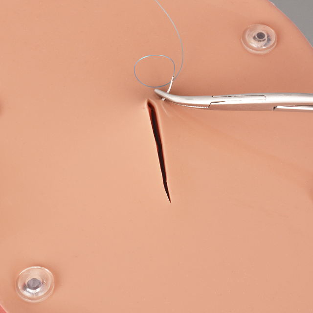 Hollow Organ Suturing Model