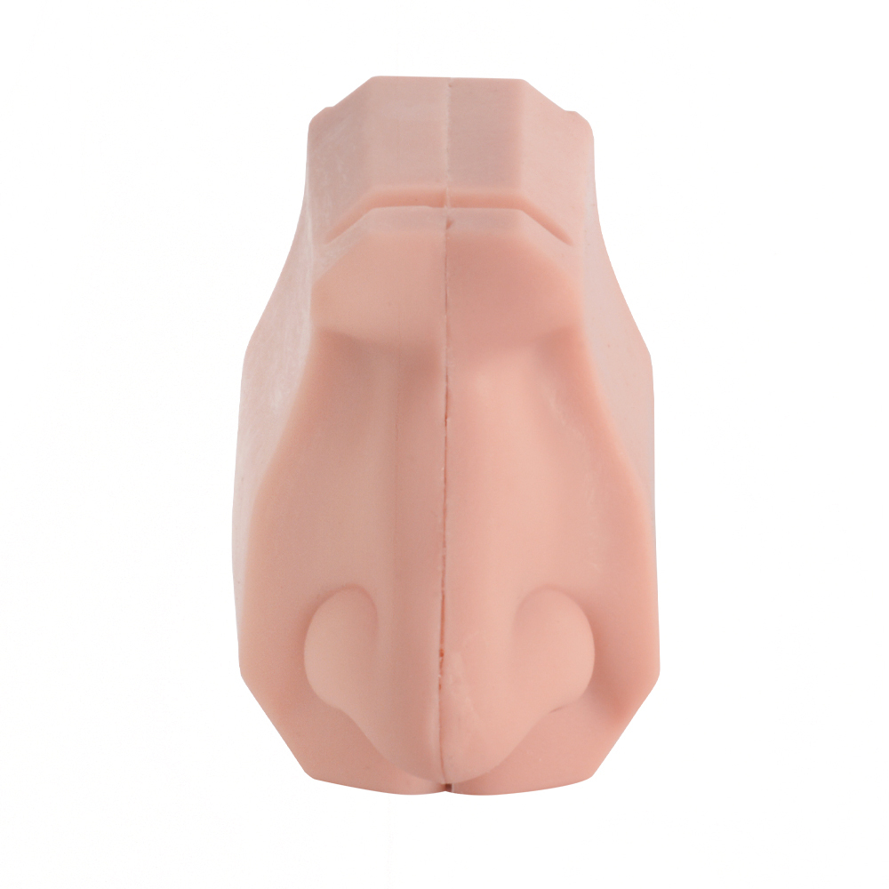 Nasal Examination Training Model