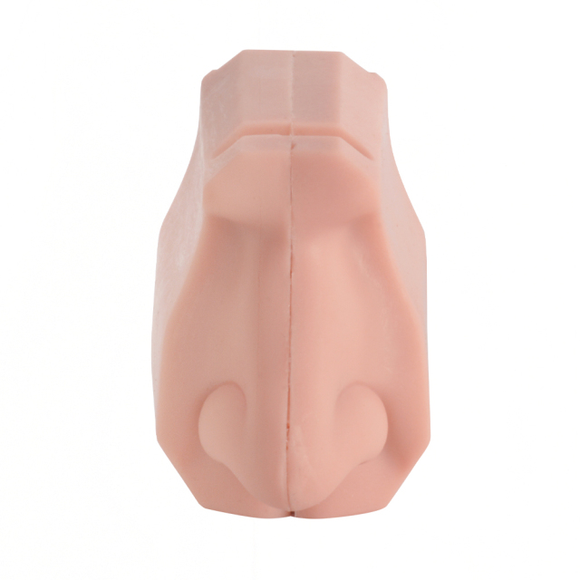 Nasal Examination Training Model