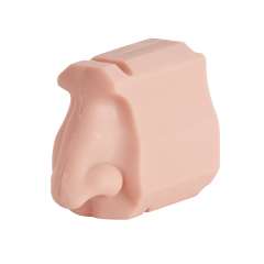 Nasal Examination Training Model