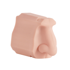Nasal Examination Training Model