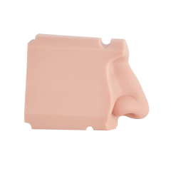 Nasal Examination Training Model