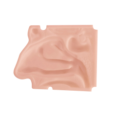 Nasal Examination Training Model