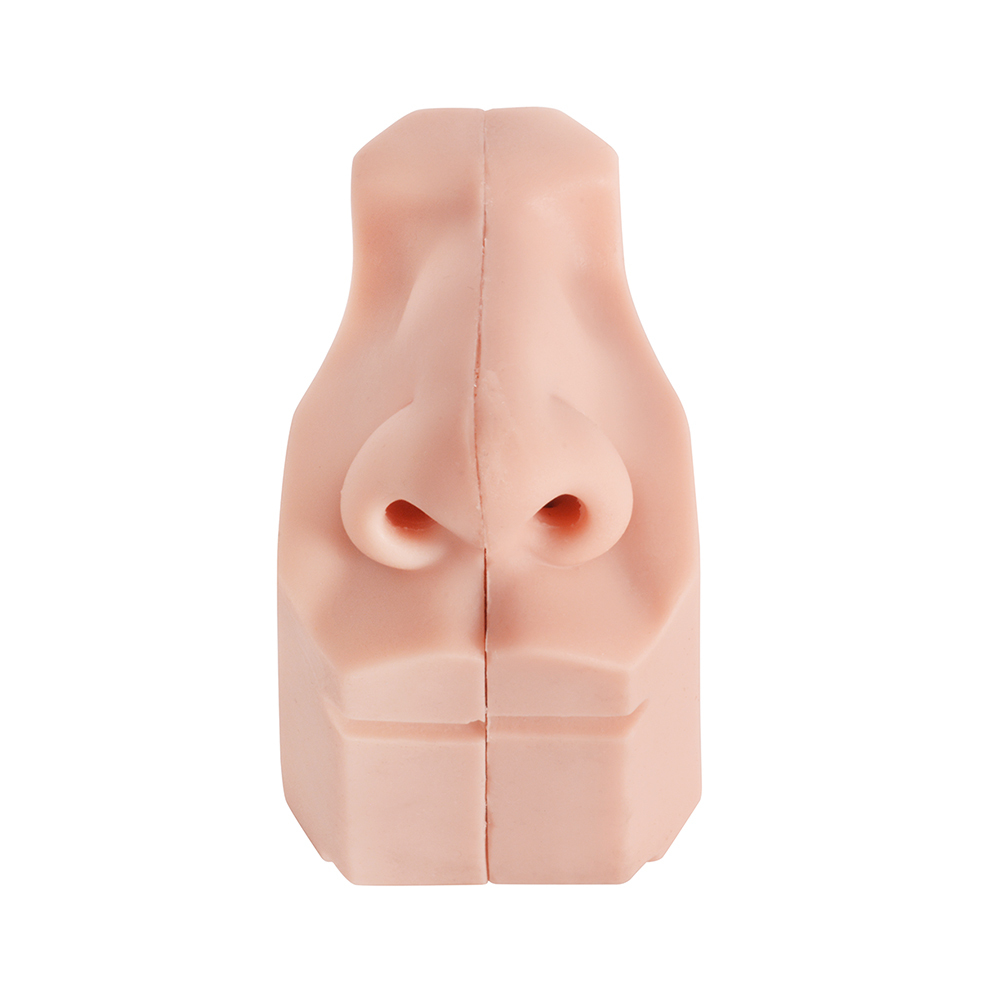 Nasal Examination Training Model
