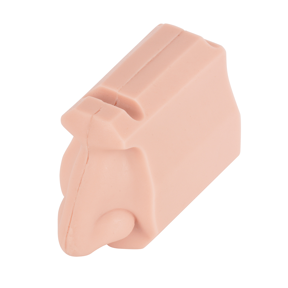 Nasal Examination Training Model