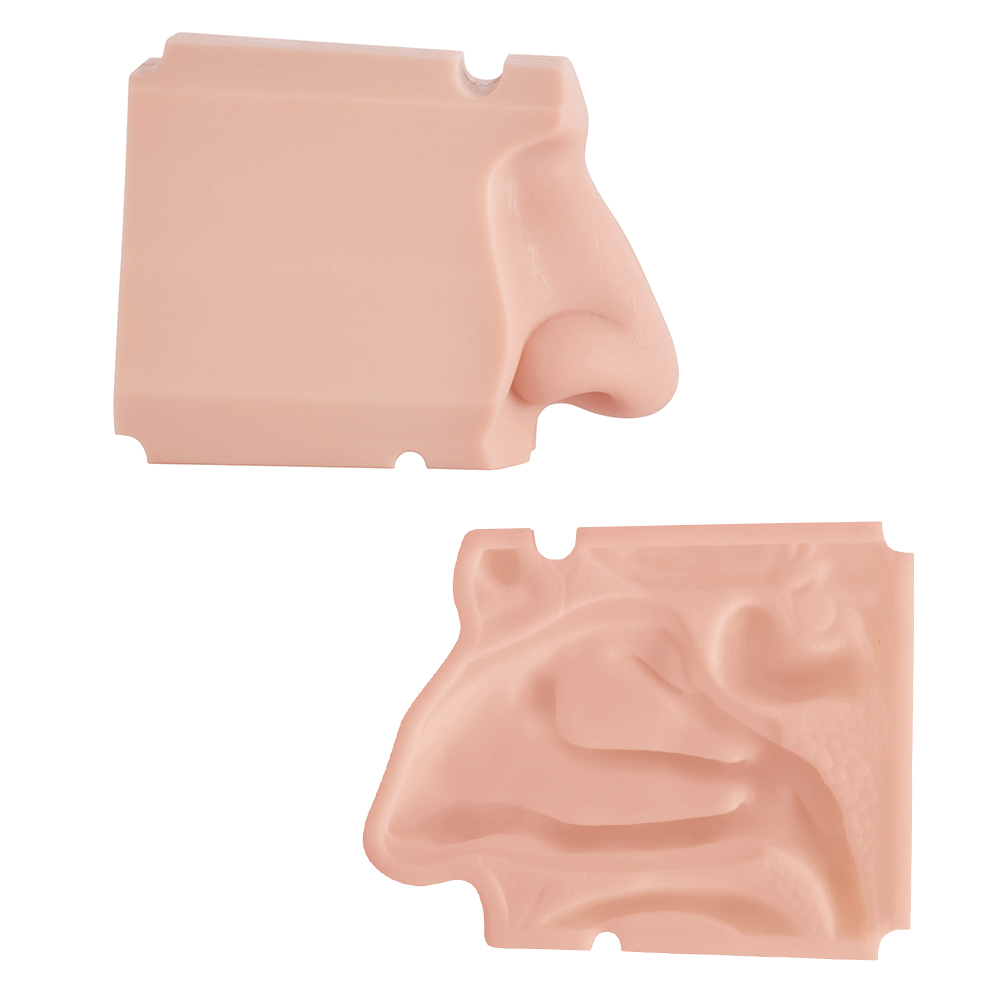 Nasal Examination Training Model