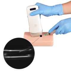Ultrasound-Guided Vascular Puncture Simulator