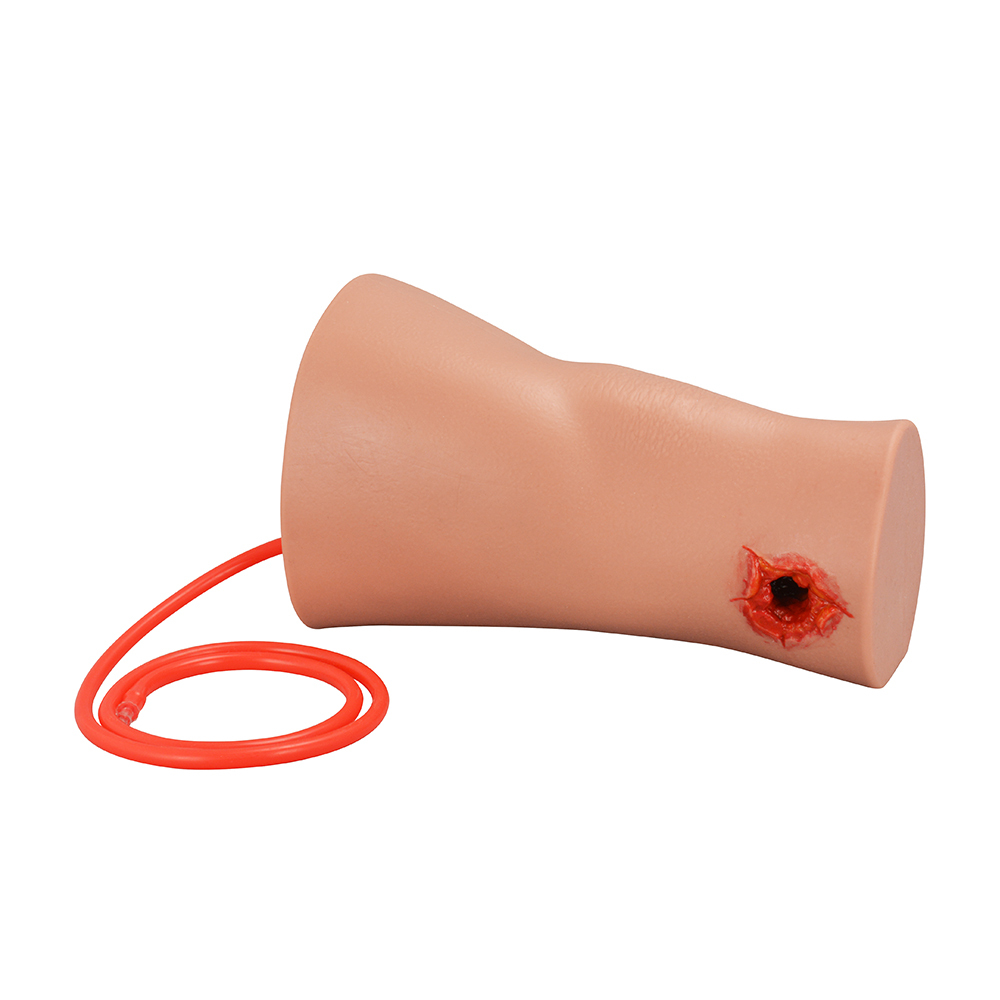 Compact Silicone Through-and-Through Gunshot Wound Model