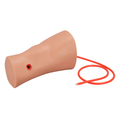 Compact Silicone Through-and-Through Gunshot Wound Model