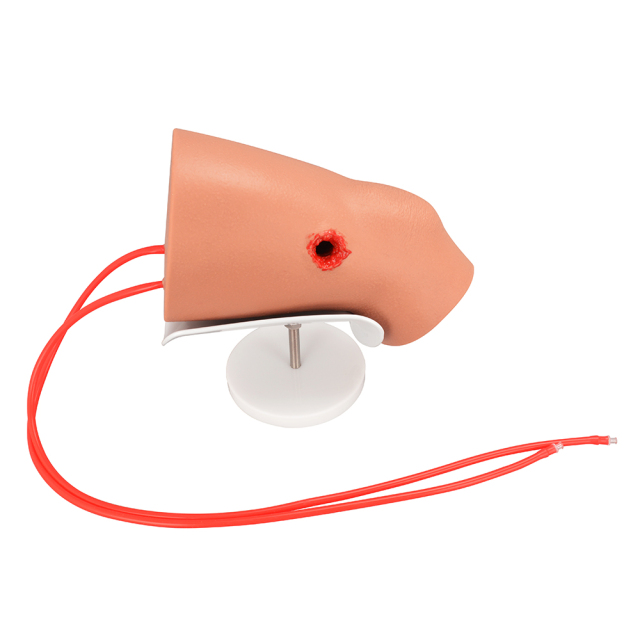 Compact Silicone Knee Gunshot Wound Model